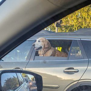 Meet your Posher, Sam